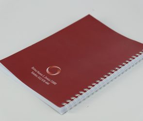DSCF6646