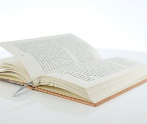DSCF6812